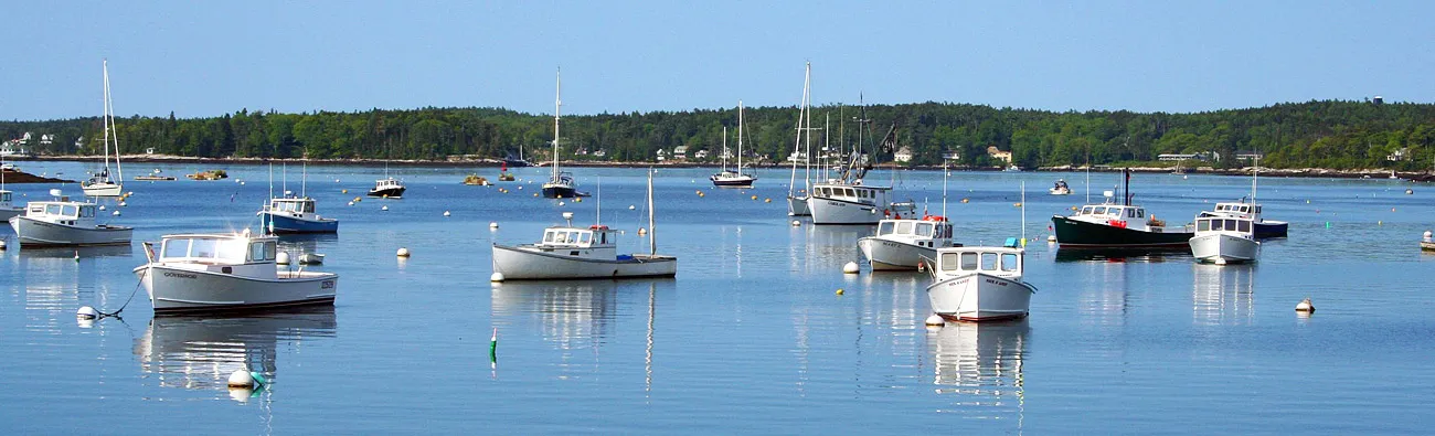 Boats on a harbor